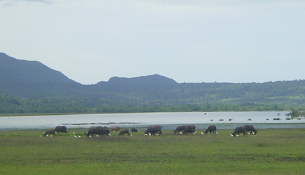 Nino Konis Santana National Park